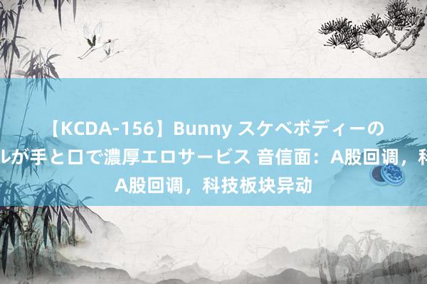 【KCDA-156】Bunny スケベボディーのバニーガールが手と口で濃厚エロサービス 音信面：A股回调，科技板块异动