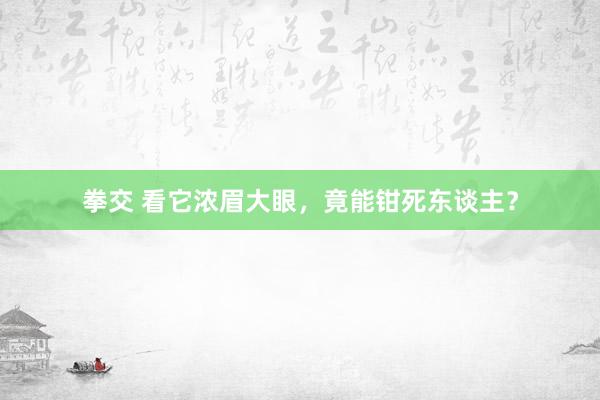 拳交 看它浓眉大眼，竟能钳死东谈主？