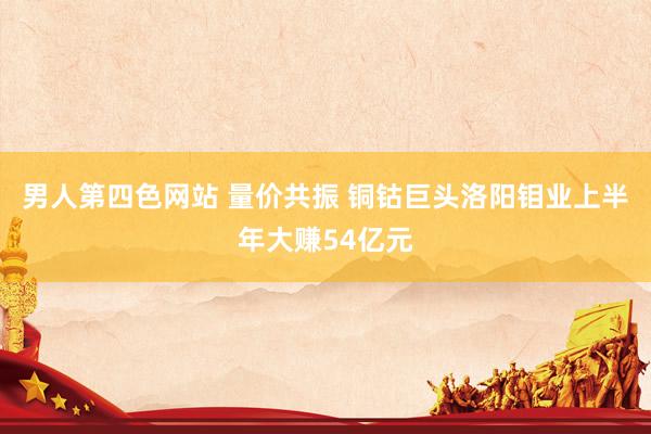 男人第四色网站 量价共振 铜钴巨头洛阳钼业上半年大赚54亿元