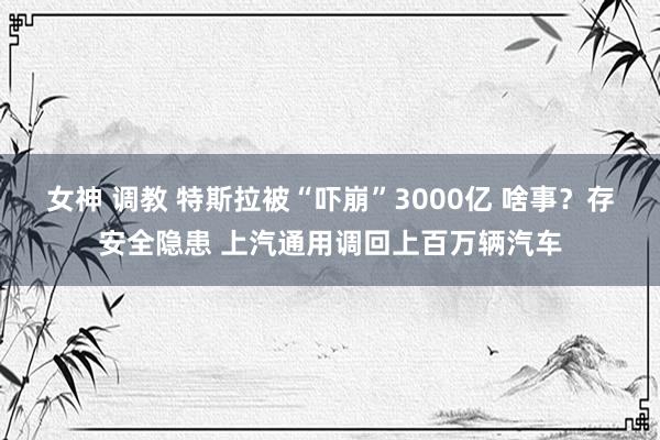 女神 调教 特斯拉被“吓崩”3000亿 啥事？存安全隐患 上汽通用调回上百万辆汽车