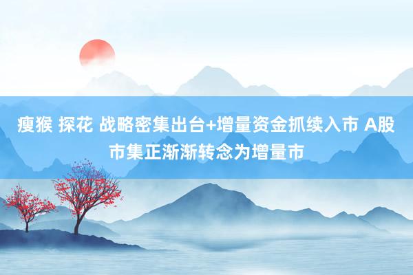瘦猴 探花 战略密集出台+增量资金抓续入市 A股市集正渐渐转念为增量市