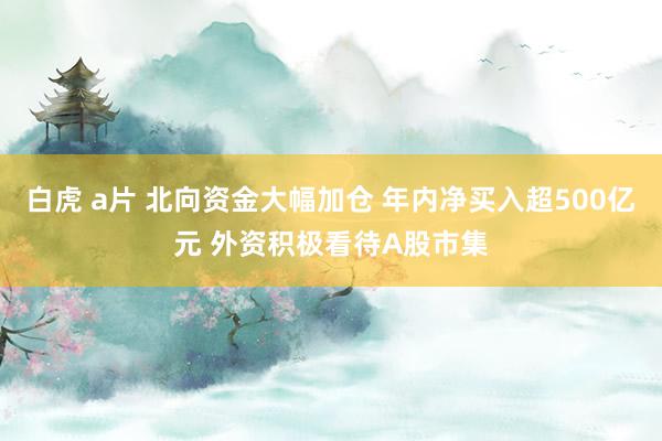 白虎 a片 北向资金大幅加仓 年内净买入超500亿元 外资积极看待A股市集