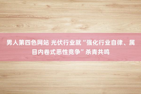 男人第四色网站 光伏行业就“强化行业自律、属目内卷式恶性竞争”杀青共鸣
