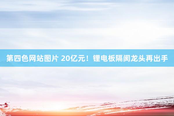 第四色网站图片 20亿元！锂电板隔阂龙头再出手