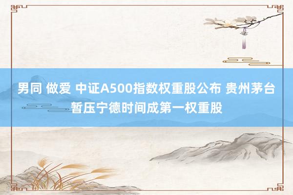 男同 做爱 中证A500指数权重股公布 贵州茅台暂压宁德时间成第一权重股