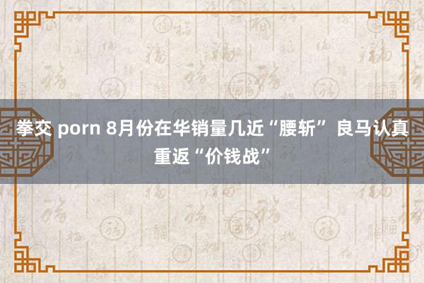 拳交 porn 8月份在华销量几近“腰斩” 良马认真重返“价钱战”