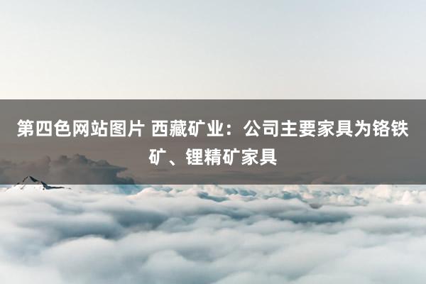 第四色网站图片 西藏矿业：公司主要家具为铬铁矿、锂精矿家具