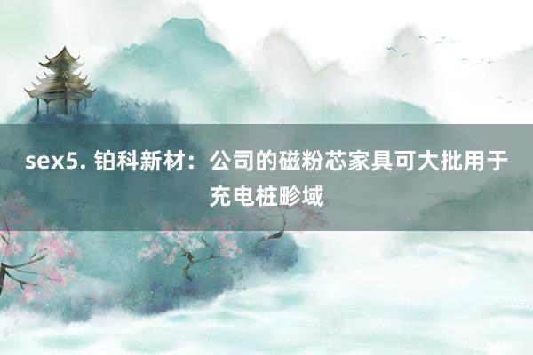 sex5. 铂科新材：公司的磁粉芯家具可大批用于充电桩畛域