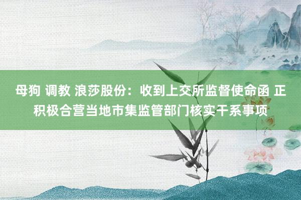 母狗 调教 浪莎股份：收到上交所监督使命函 正积极合营当地市集监管部门核实干系事项