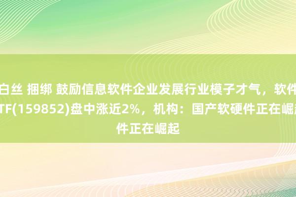 白丝 捆绑 鼓励信息软件企业发展行业模子才气，软件ETF(159852)盘中涨近2%，机构：国产软硬件正在崛起