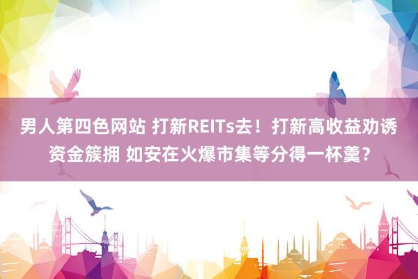 男人第四色网站 打新REITs去！打新高收益劝诱资金簇拥 如安在火爆市集等分得一杯羹？
